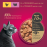 Пауч за котки My Love Adult cats  with chicken, turkey 4 броя с Пилешко и пуешко месо в сос